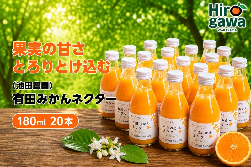 みかん ネクター 100％ ジュース / 温州みかん 有田みかん 果汁 無添加 柑橘 和歌山 20000円 180ml ※北海道・沖縄・離島への配送不可 //drink 【ikd100-to180-20A】