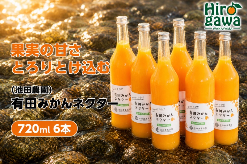 みかん ネクター 100％ ジュース / 温州みかん 有田みかん 果汁 無添加 柑橘 和歌山 18000円 720ml ※北海道・沖縄・離島への配送不可 //drink 【ikd100-to720-6】