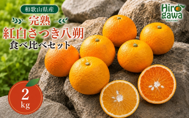 完熟 紅白 さつき 八朔 食べ比べ セット 2kg 6000円 久幸園 / 紅八朔 さつき八朔 はっさく 樹上完熟 完熟 木成り 柑橘 果物 くだもの フルーツ みかん 和歌山 有田 広川町 ※2027年4月上旬〜5月上旬頃に順次発送予定 //hassaku [hsk022-mix-2]