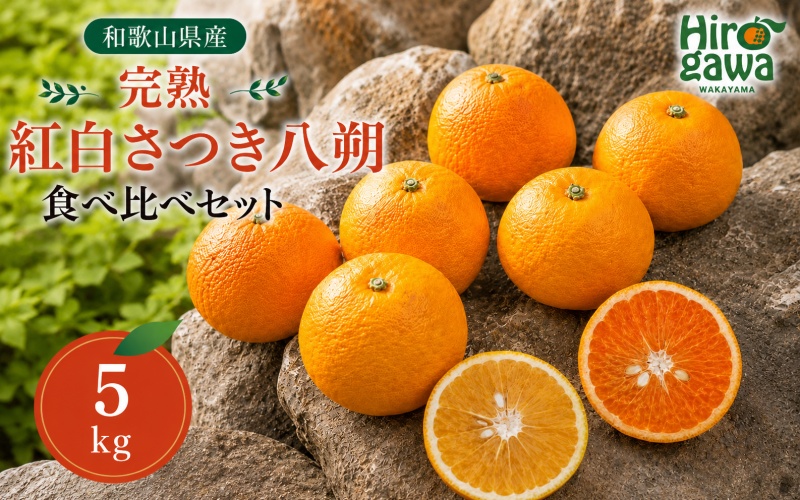 完熟 紅白 さつき 八朔 食べ比べ セット 5kg 10000円 久幸園 / 紅八朔 さつき八朔 はっさく 樹上完熟 完熟 木成り 柑橘 果物 くだもの フルーツ みかん 和歌山 有田 広川町 ※2027年4月上旬〜5月上旬頃に順次発送予定 //hassaku [hsk022-mix-5]