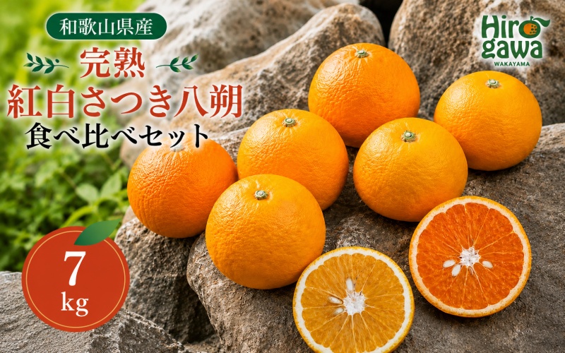 完熟 紅白 さつき 八朔 食べ比べ セット 7kg 13000円 久幸園  /  紅八朔 さつき八朔 はっさく 樹上完熟 完熟 木成り 柑橘 果物 くだもの フルーツ みかん 和歌山 有田 広川町 ※2027年4月上旬〜5月上旬頃に順次発送予定  //hassaku 【hsk022-mix-7】