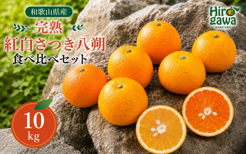 完熟 紅白 さつき 八朔 食べ比べ セット 10kg 17000円 久幸園  /  紅八朔 さつき八朔 はっさく 樹上完熟 完熟 木成り 柑橘 果物 くだもの フルーツ みかん 和歌山 有田 広川町 ※2027年4月上旬〜5月上旬頃に順次発送予定  //hassaku 【hsk022-mix-10】