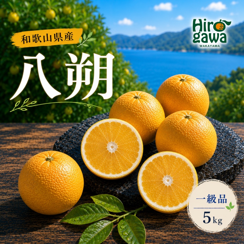 八朔 一級品 5kg / 和歌山 有田 広川 はっさく 柑橘 果物 くだもの ギフト フルーツ 果実 ※2027年2月上旬～2月下旬頃に順次発送予定【hkt021-p-5】