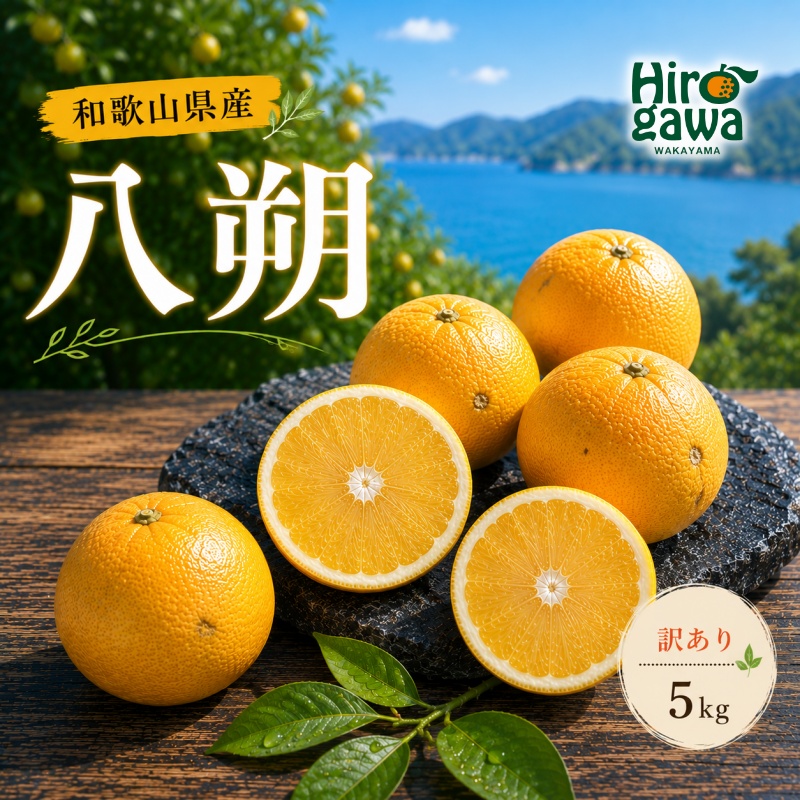 八朔 訳あり 5kg / 和歌山 有田 広川 はっさく 柑橘 果物 くだもの ギフト フルーツ 果実 ※2027年2月上旬～2月下旬頃に順次発送予定【hkt021-c-5】