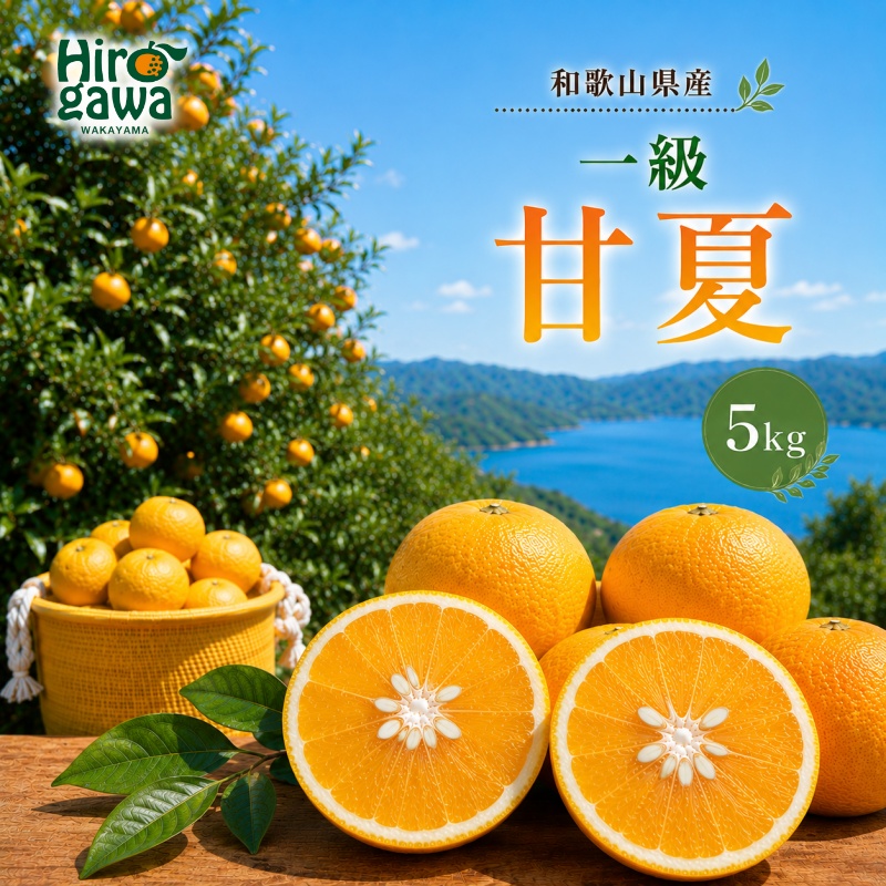 甘夏 一級 5kg / 和歌山 有田 広川 あまなつ 柑橘 果物 くだもの ギフト フルーツ 果実 ※2027年3月上旬～3月下旬頃に順次発送予定【hkt023-p-5】