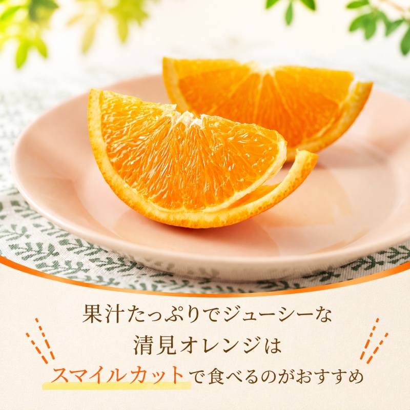 清見 一級品 5kg / 和歌山 有田 広川 清見 オレンジ きよみ 柑橘 果物 くだもの ギフト フルーツ 果実 ※2027年3月上旬～3月下旬頃に順次発送予定【hkt011-p-5】