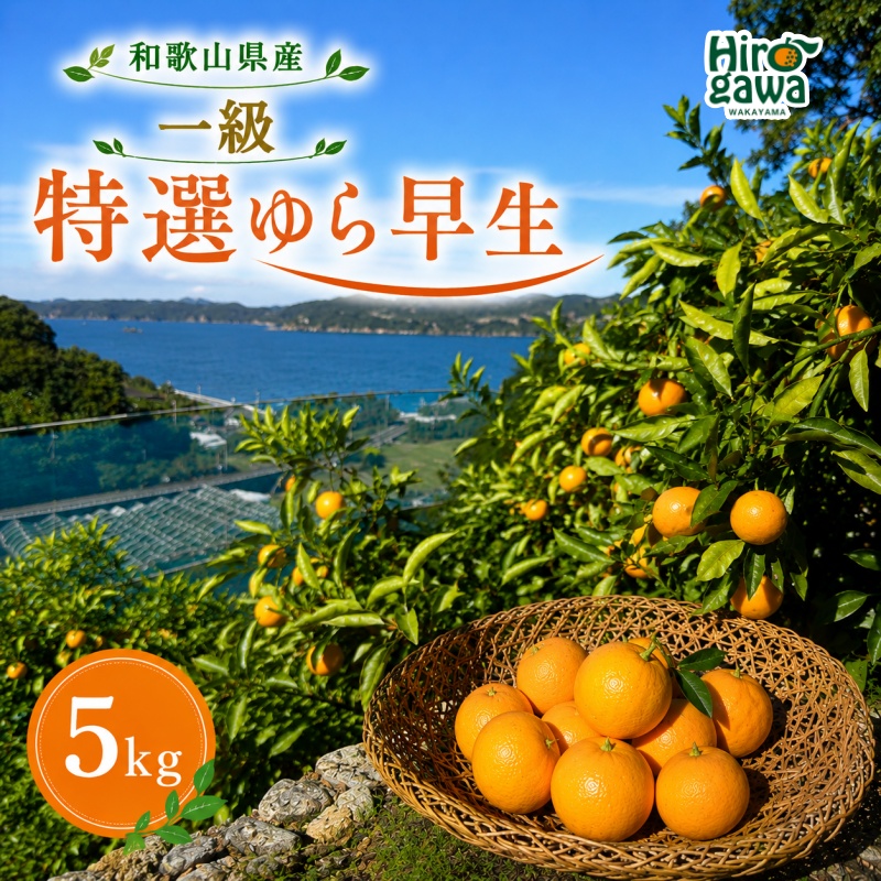 特選 ゆら早生 一級品 5kg / 和歌山 有田 広川 ゆら早生 早生みかん 柑橘 果物 くだもの ギフト フルーツ 果実 ※2026年10月下旬～11月中旬頃に順次発送予定【hkt003-p-5】