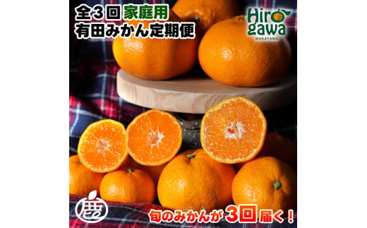 家庭用 有田 みかん 定期便 【1kg×3回】 / 温州みかん 有田みかん 甘い 訳あり 和歌山 有田 1kg ※北海道・沖縄・離島への配送不可 【ikd050-mikc-1-3A】