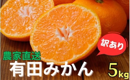 農家直送 有田 みかん 訳あり 5kg 光センサー 選別 / 温州みかん 有田みかん 甘い 家庭用 和歌山 柑橘 ※11月中旬〜1月中旬に順次発送 ※北海道・沖縄・離島への配送不可 【nuk004-noka-c5I】