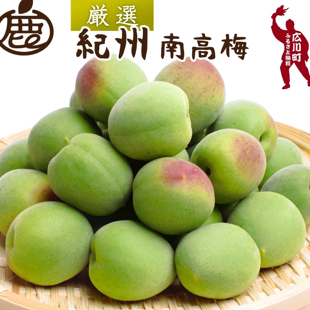 青梅 厳選 南高梅 0.5kg+250g（痛み補償分） / 梅 梅ジュース 梅酒 梅干し 高級 和歌山 ※5月~6月発送予定 ※北海道・沖縄・離島への配送不可 【ikd508-p-0d5H】