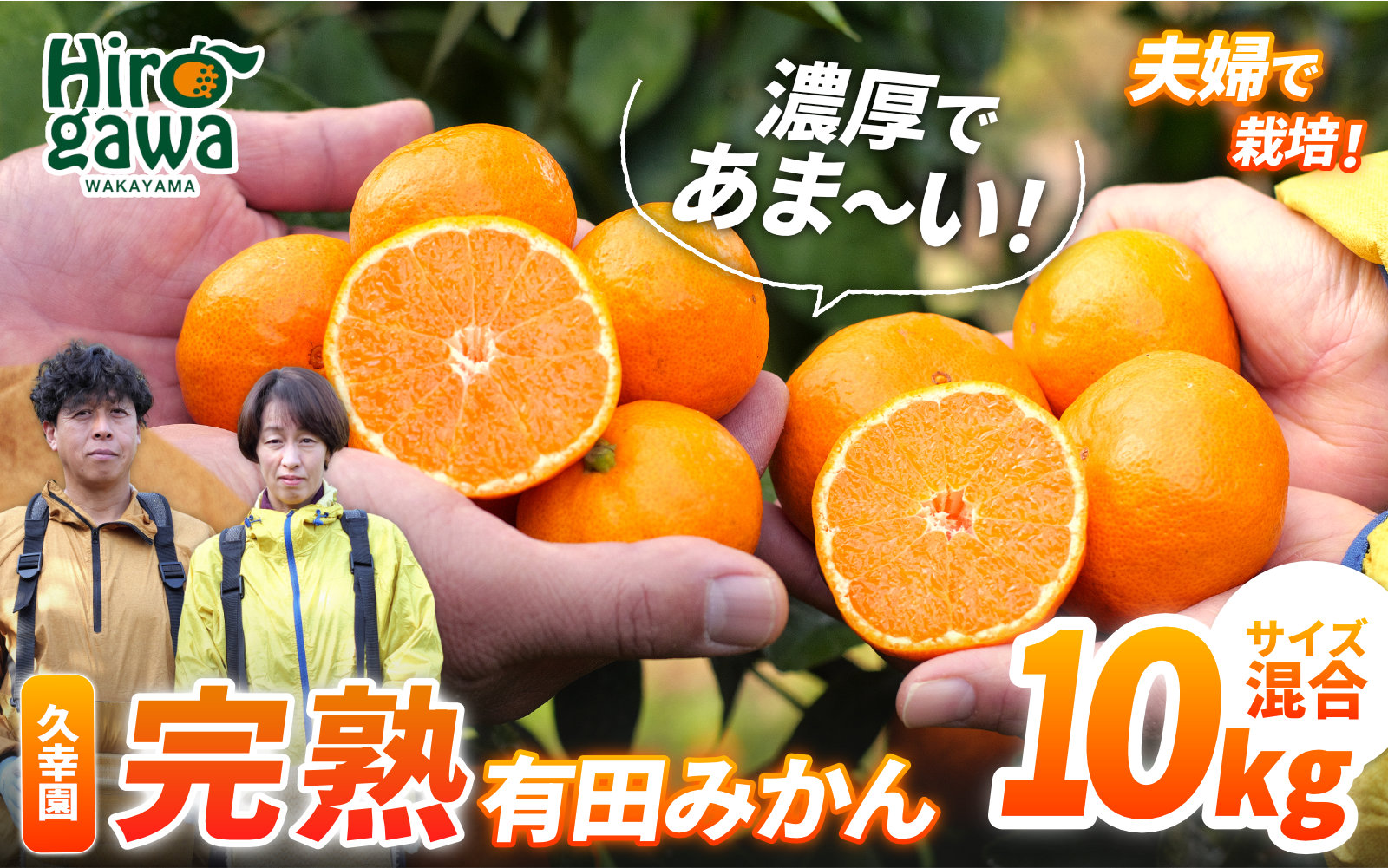 完熟 有田 みかん 訳あり 10kg 久幸園 / 温州みかん 有田みかん 甘い 家庭用 和歌山 柑橘 ※2026年11月～2027年1月下旬に順次発送 【hsk004-c-10E】