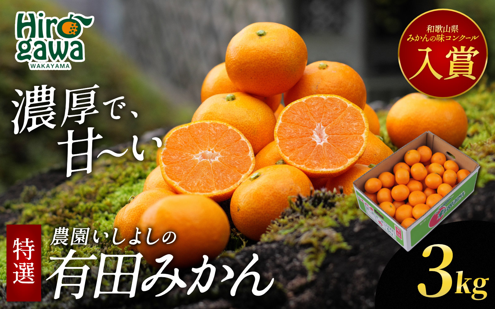 有田 みかん 特選 3kg 【 創業120年 農家直送 】 / 温州みかん 有田みかん 甘い 高級 和歌山 柑橘 ※2026年11月中旬〜2027年1月下旬に順次発送 【isy004-r-3C】
