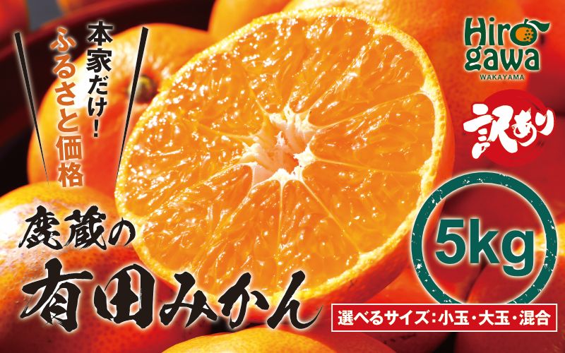 鹿蔵の 有田 みかん 訳あり 5kg 光センサー 選果 / 温州みかん 有田みかん 甘い 家庭用 和歌山 柑橘 ※2026年11月発送予定 ※北海道・沖縄・離島への配送不可 【ikd004-cm-5-novD】