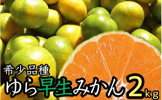由良早生 みかん 家庭用 2kg サイズ混合 / ゆら早生 温州みかん 極早生 ※2026年10月上旬〜11月上旬順次発送 ※北海道・沖縄・離島への配送不可 【nuk003-yura-2I】
