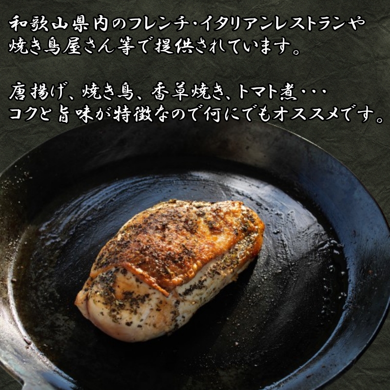  紀州 うめどり むねセット （むね肉1枚×10P） / 地鶏 銘柄鳥 鶏肉 鶏 鳥 肉 和歌山 紀州 有田 広川 【gbc315-mun-10】