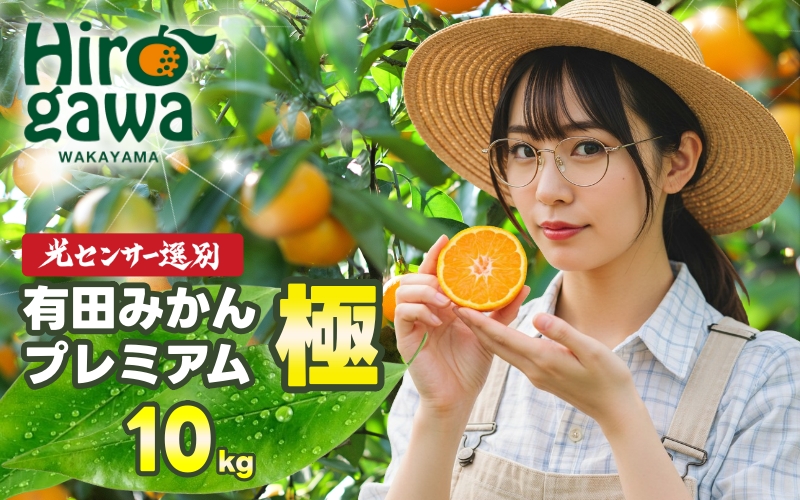 有田みかん 極 プレミアム 10kg (2S～Lサイズ) 光センサー選別 / 温州みかん みかん 甘い 高級 和歌山 柑橘 ※11月下旬～翌年1月上旬頃に順次発送予定 ※北海道・沖縄・離島への配送不可 【nuk004-p-10D】
