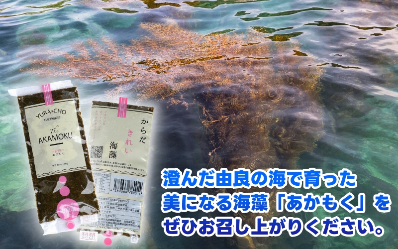 ［由良町産］ 紀州 あかもく 由良町産 100g×10パック 2025年産/ 海藻 フコイダン もずく 【sml214-100-10B】