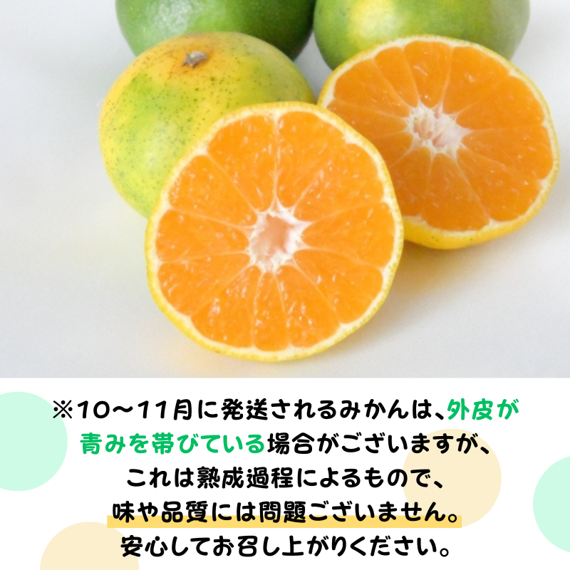 《先行予約》 有田育ちの ご家庭用 完熟 有田みかん 3kg+200g 農家直送 わけあり 訳あり ※11月上旬から下旬頃に順次発送予定 / 温州みかん みかん フルーツ 果物  柑橘 くだもの 人気 和歌山 【配送不可地域：北海道・離島・沖縄県】【ard004-c-3-11C】