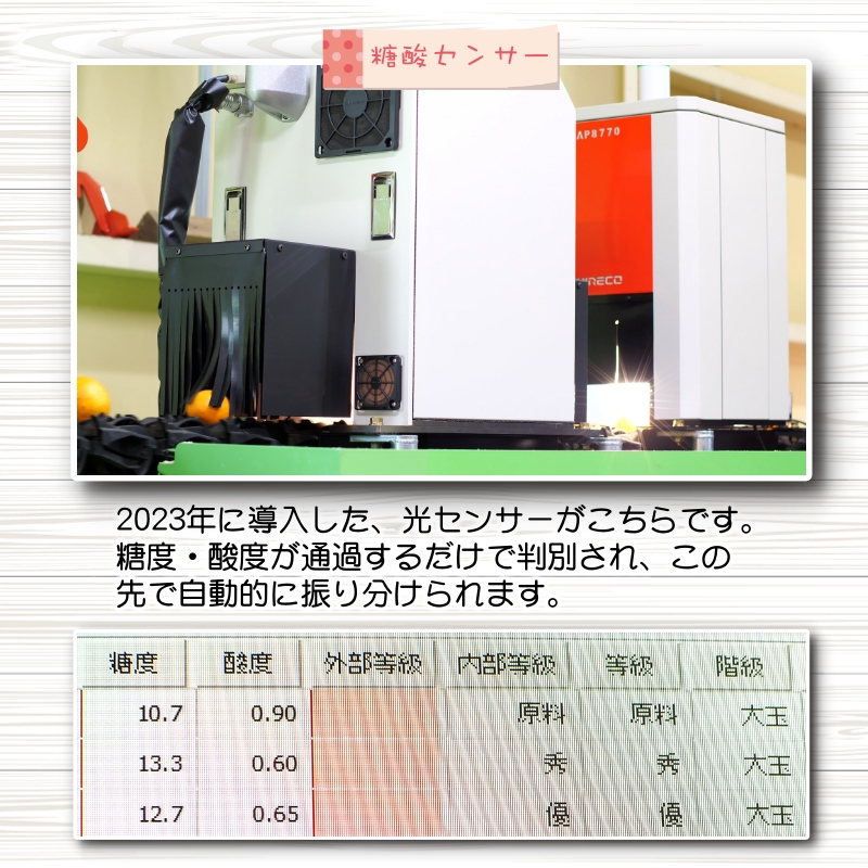 éåã ã¿ãã 10kg / 極æ©ç 極æ©çã¿ãã æž©å·ã¿ãã çã å®¶åºçš åæå±± ææ© â»2026幎9æäžæ¬ïœ10æé 次çºé â»åæµ·éã»æ²çžã»é¢å³¶ãžã®é
éäžå¯ãnuk001-r-10Cã
