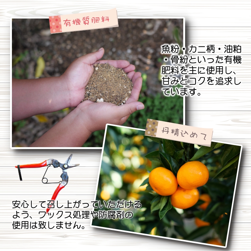 éåã ã¿ãã 10kg / 極æ©ç 極æ©çã¿ãã æž©å·ã¿ãã çã å®¶åºçš åæå±± ææ© â»2026幎9æäžæ¬ïœ10æé 次çºé â»åæµ·éã»æ²çžã»é¢å³¶ãžã®é
éäžå¯ãnuk001-r-10Cã