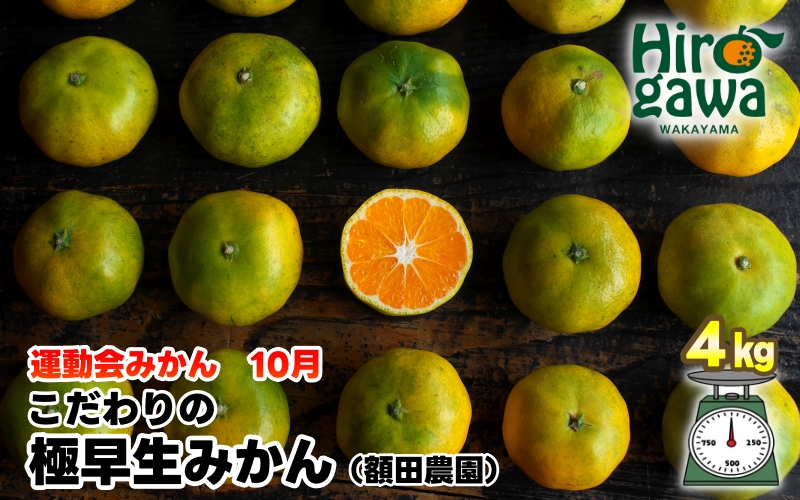 【先行予約】極早生 みかん 家庭用 4kg / 極早生みかん 温州みかん 甘い 家庭用 和歌山 柑橘 ※2026年10月上旬～11月上旬順次発送 ※北海道・沖縄・離島への配送不可 【nuk003-r-4A】
