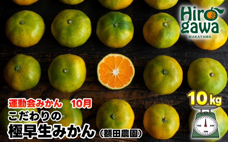 【先行予約】極早生 みかん 家庭用 10kg / 極早生みかん 温州みかん 甘い 家庭用 和歌山 柑橘 ※2026年10月上旬～11月上旬順次発送 ※北海道・沖縄・離島への配送不可 【nuk003-r-10C】