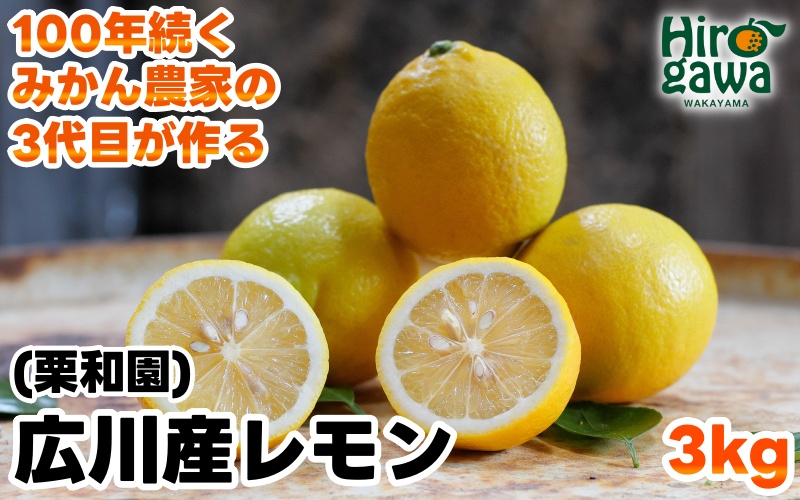 レモン 3kg 国産 / 和歌山 柑橘 ※2月上旬〜3月中旬に順次発送  【krw040-r-3】