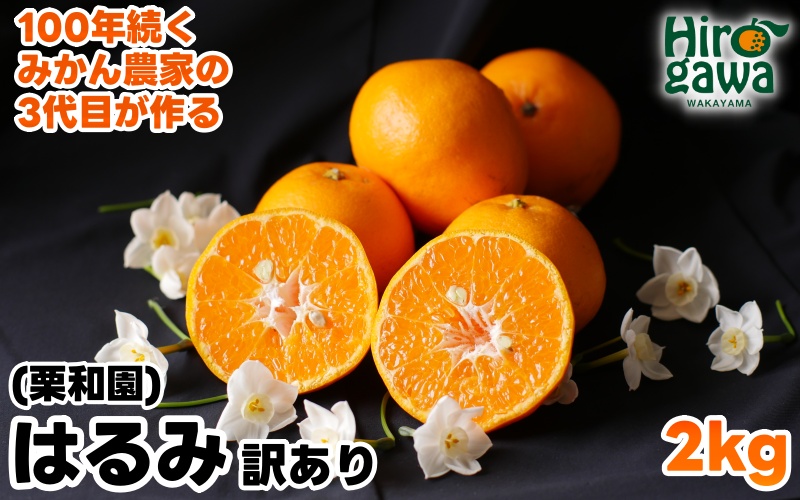 はるみ 2kg 家庭用 / 訳あり 甘い 和歌山 柑橘 ※2月中旬〜3月下旬に順次発送 【krw013-c-2】