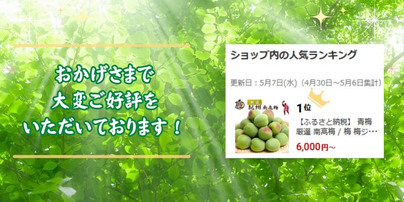 青梅 厳選 南高梅 15kg+250g（痛み補償分） / 梅 梅ジュース 梅酒 梅干し 高級 和歌山 ※5月~6月発送予定 ※北海道・沖縄・離島への配送不可 【ikd508-p-15】