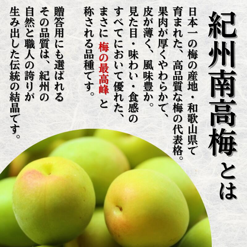 青梅 厳選 南高梅 15kg+250g（痛み補償分） / 梅 梅ジュース 梅酒 梅干し 高級 和歌山 ※5月~6月発送予定 ※北海道・沖縄・離島への配送不可 【ikd508-p-15】
