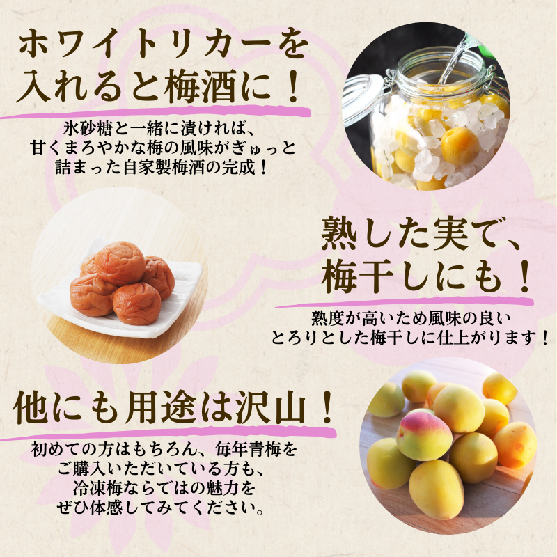 冷凍 梅 3kg 家庭用 / 南高梅 訳あり 黄梅 完熟梅 梅ジュース 梅酒 和歌山 ※7月上旬より翌年3月末まで順次発送 ※北海道・沖縄・離島への配送不可 【ikd510-c-3B】