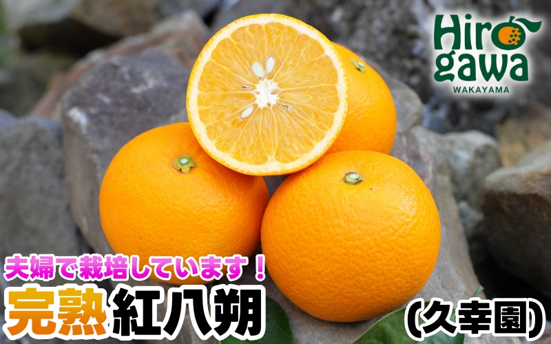 完熟 紅八朔 7kg 久幸園 / はっさく 甘い 和歌山 柑橘 ※3月中旬～4月中旬頃に順次発送予定 【hsk022-beni-7】