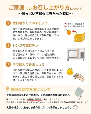 不知火 ( しらぬい ） 3kg 家庭用 (大好きしらぬい)　/ デコポン 甘い 和歌山 有田 柑橘 産地直送 農家直送 手選果 ※2027年2月中旬〜3月下旬に順次発送予定  【nkh010-c-3B】
