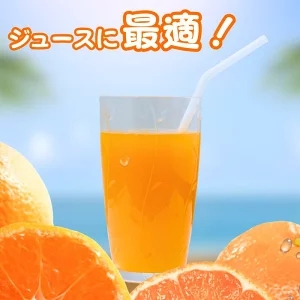 ã¿ã«ããã® ã»ãããŒã« å®¶åºçš 5kg ãµã€ãºããŸãã Mïœ2L / èš³ãã çã åæå±± æç° ææ© â»2027幎4æäžæ¬ïœ5æã«é 次çºé ãkrs016-c-5Aã