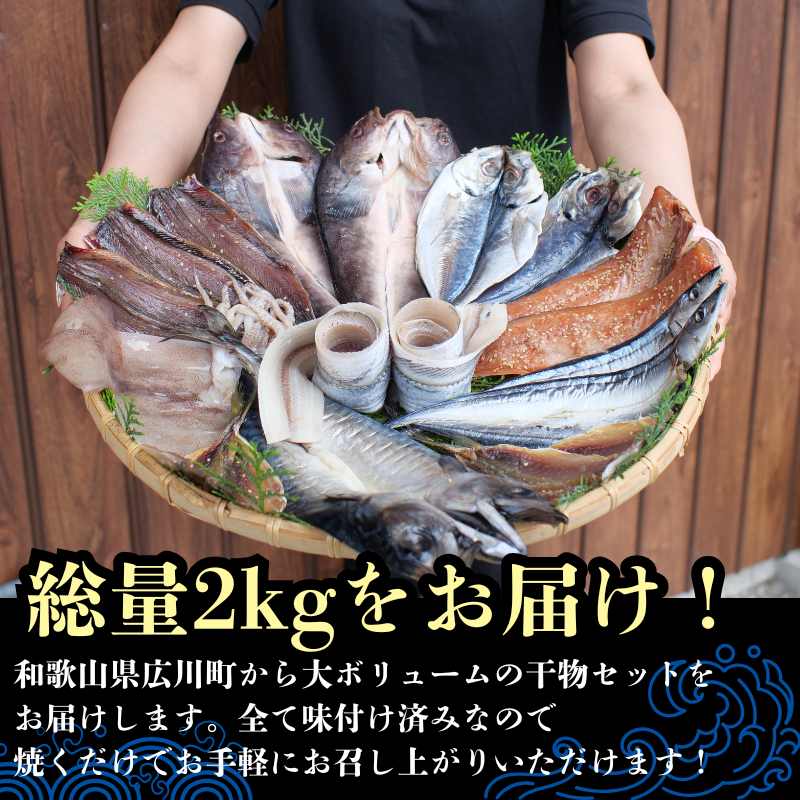 『総重量約２kg！』９種１８点盛 きのくに干物セット / 父の日 干物 お取り寄せ グルメ 冷凍 クール 低塩 開き 一夜干し みりん干し 湯浅湾 湯浅醤油 真あじ アジ 太刀魚 ほっけ ホッケ サンマ イカ 鯖 サバ 魚 海鮮 魚介 海の幸【knk248-9】
