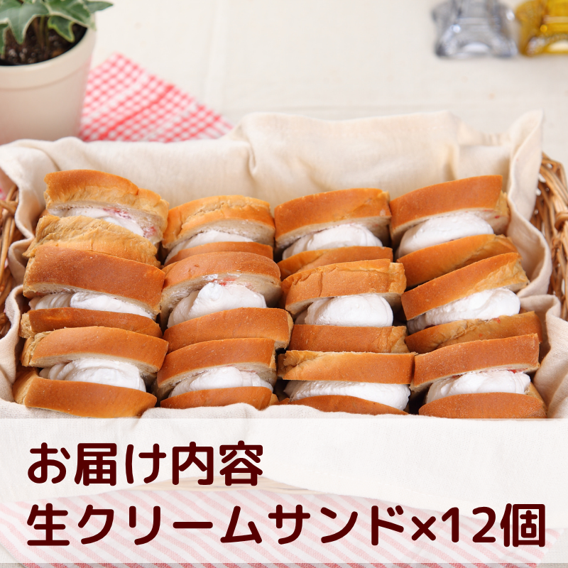 繝代Φ蟾・謌ソ 繧ォ繝ッ 縺ョ 逕溘け繝ェ繝シ繝 繧オ繝ウ繝 12蛟句・ / 繧ケ繧、繝シ繝 繝代Φ 豢玖藷蟄 縺願藷蟄 蜥梧ュ悟アア 縲震wa112-nama-12縲