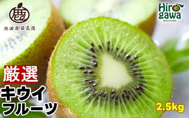 キウイ 厳選 2.5kg+250g（痛み補償分） / キウイフルーツ 高級 和歌山 ※2025年11月中旬～2026年6月中旬に順次発送 ※北海道・沖縄・離島への配送不可【ikd505-p-2d5A】