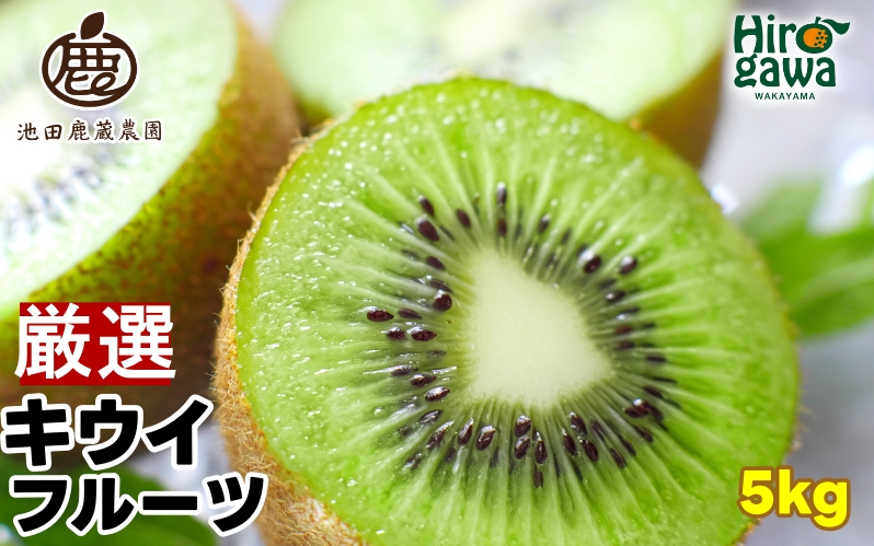 キウイ 厳選 5kg+250g（痛み補償分） / キウイフルーツ 高級 和歌山 ※2025年11月中旬～2026年6月中旬に順次発送 ※北海道・沖縄・離島への配送不可【ikd505-p-5C】