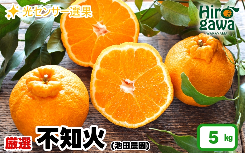 不知火 （ しらぬい ） 5kg+250g（痛み補償分） 厳選 光センサー / デコポン 高級 甘い 和歌山 柑橘 ※2月上旬～3月下旬に順次発送 ※北海道・沖縄・離島への配送不可 【ikd010-p-5C】