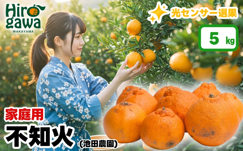 不知火 （ しらぬい ） 5kg+250g（痛み補償分） 家庭用 光センサー / デコポン 訳あり 甘い 和歌山 柑橘 ※2月上旬～3月下旬に順次発送 ※北海道・沖縄・離島への配送不可 【ikd010-c-5C】