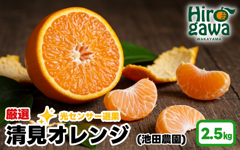 清見 オレンジ 厳選 2.5kg+250g（痛み補償分） 光センサー / 清見オレンジ 清見タンゴール きよみ 清美 甘い 高級 和歌山 柑橘 ※2月上旬～6月上旬に順次発送 ※北海道・沖縄・離島への配送不可 【ikd011-p-2d5B】