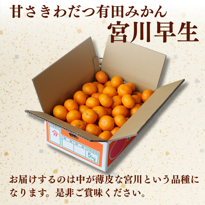 æç° ã¿ãã 10kg Mã»L / æž©å·ã¿ãã æç°ã¿ãã çã åæå±± ææ© â»12æäžæ¬ïœ1æäžæ¬ã«é 次çºé ãymk004-10-mlAã