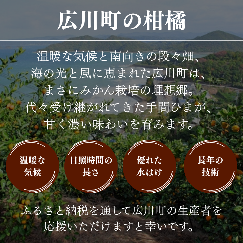 æç° ã¿ãã 10kg Mã»L / æž©å·ã¿ãã æç°ã¿ãã çã åæå±± ææ© â»12æäžæ¬ïœ1æäžæ¬ã«é 次çºé ãymk004-10-mlAã