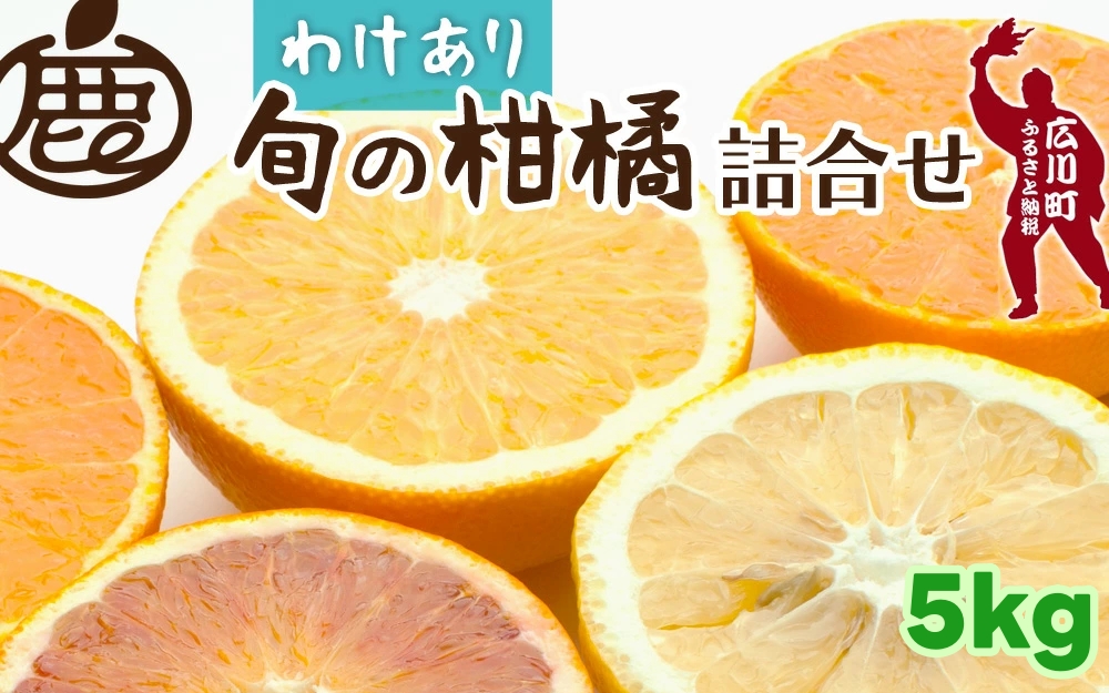 柑橘 詰合せ 5kg+250g 訳あり 光センサー / みかん 不知火 清見 八朔 伊予間 セミノール レモン ３種類以上 詰め合わせ 晩柑 ※1月上旬〜6月上旬に順次発送 ※北海道・沖縄・離島への配送不可【ikd049-c-5B】