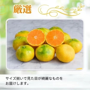ハウスみかん 1kg+250g(傷み補償) 厳選 / ハウスミカン 温室みかん 有田みかん 甘い 和歌山 柑橘 ※7月中旬～8月下旬に順次発送 ※北海道・沖縄・離島への配送不可 【ikd002-p-1A】