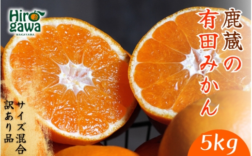 鹿蔵の 有田 みかん 訳あり 5kg 光センサー 選果 / 温州みかん 有田みかん 甘い 家庭用 和歌山 柑橘 ※11月より順次発送予定 ※北海道・沖縄・離島への配送不可 【ikd004-cm-5-nov-PR】
