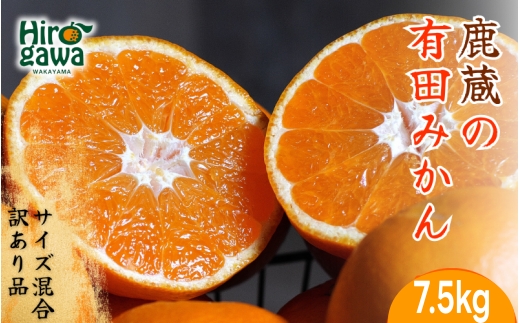 鹿蔵の 有田 みかん 訳あり 7.5kg 光センサー 選果 / 温州みかん 有田みかん 甘い 家庭用 和歌山 柑橘 ※11月より順次発送予定 ※北海道・沖縄・離島への配送不可 【ikd004-cm-7d5-nov-PR】