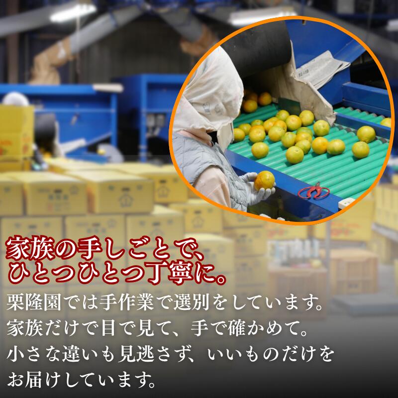  有田 みかん 秀品 サイズ混合 5kg / 有田みかん 温州みかん 甘い 秀品 和歌山 柑橘 5kg ※2025年11月～2026年3月上旬に順次発送【krt004-p-5】