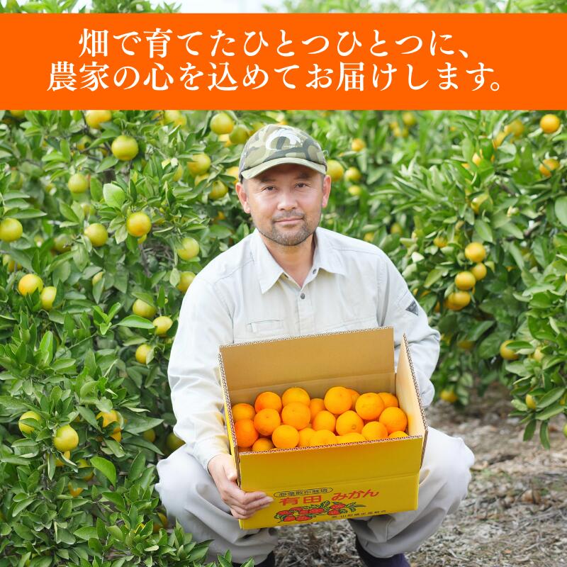  有田 みかん 秀品 サイズ混合 5kg / 有田みかん 温州みかん 甘い 秀品 和歌山 柑橘 5kg ※2025年11月～2026年3月上旬に順次発送【krt004-p-5】