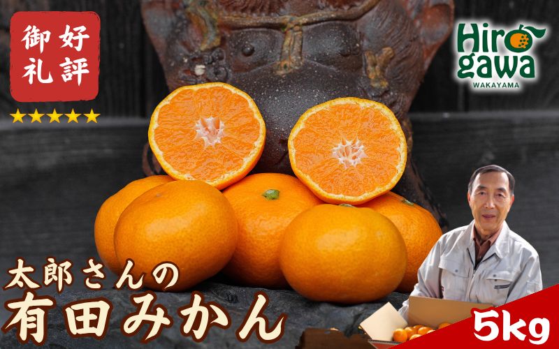 有田 みかん 5kg M・L / 温州みかん 有田みかん 甘い 和歌山 柑橘 ※12月上旬～1月上旬に順次発送【ymk004-5-mlA】